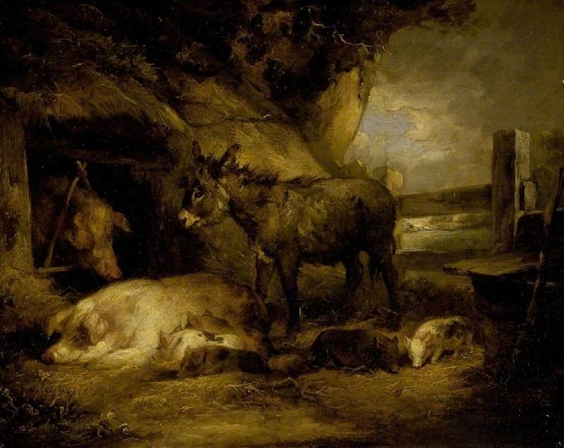 Asino e maiali - Fitzwilliam Museum